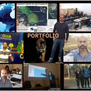 Reflexão do perito sobre a área ambiental