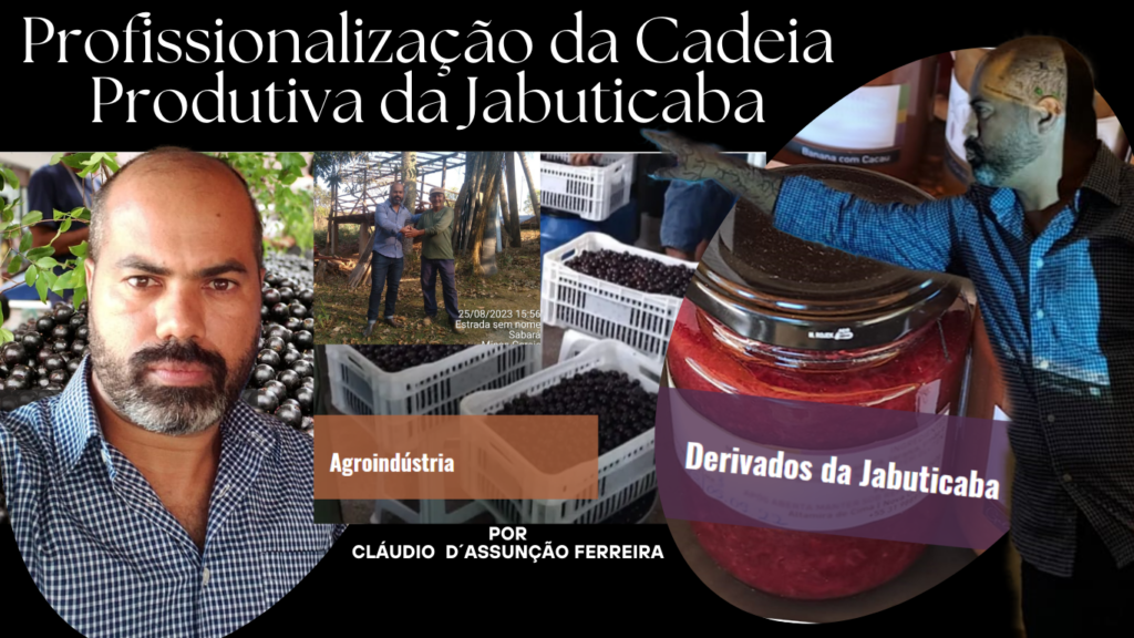 Captando-Projetos-do-Governo-Federal-3-1024x576-1.png
