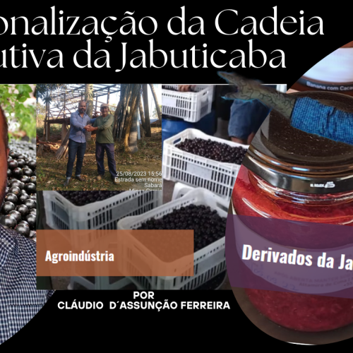 Captando Projetos do Governo Federal (3)